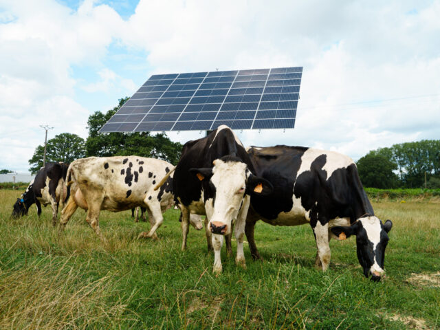 Agriculture OKWIND